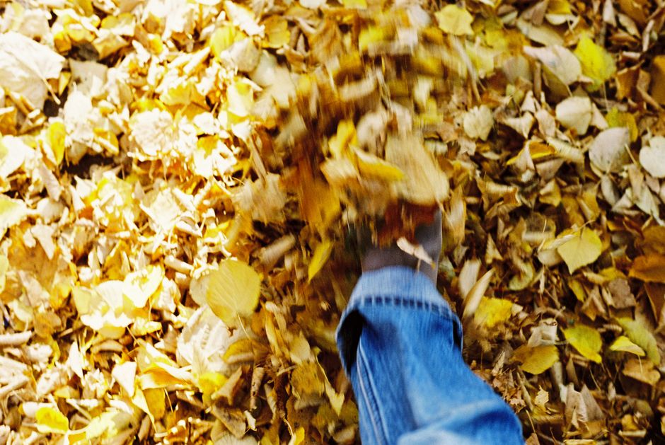 Close-up of a foot kicking vibrant fallen leaves outdoors. Captures autumn essence.