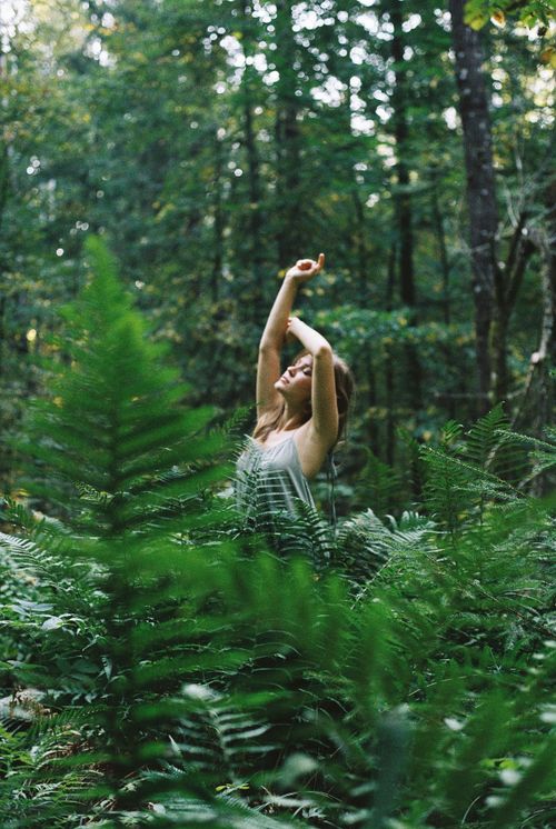 Free A woman gracefully poses surrounded by lush forest foliage, capturing the essence of nature and tranquility. Stock Photo