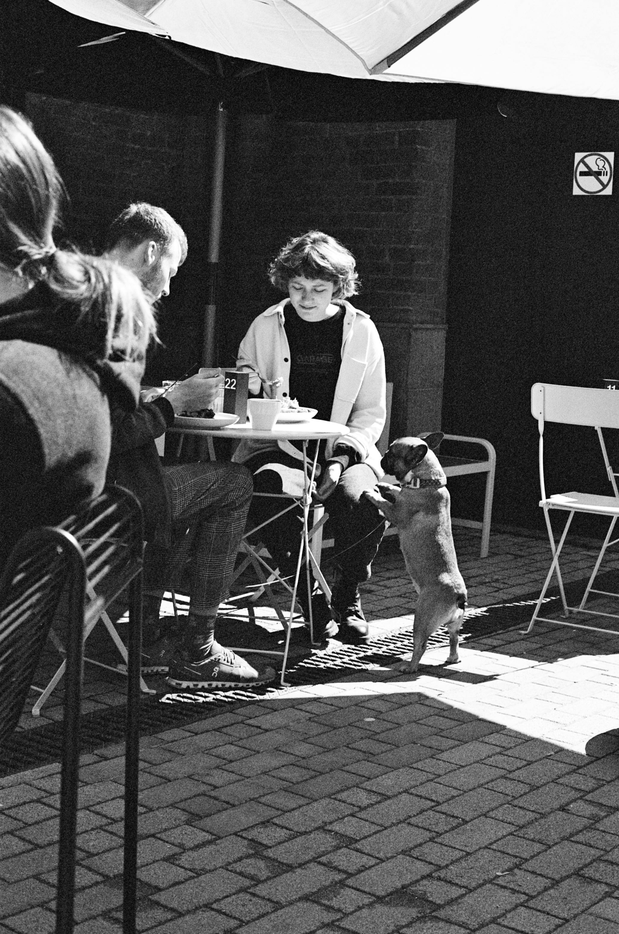 Free Black and white photo of couple dining with pug at an outdoor café in Moscow. Stock Photo