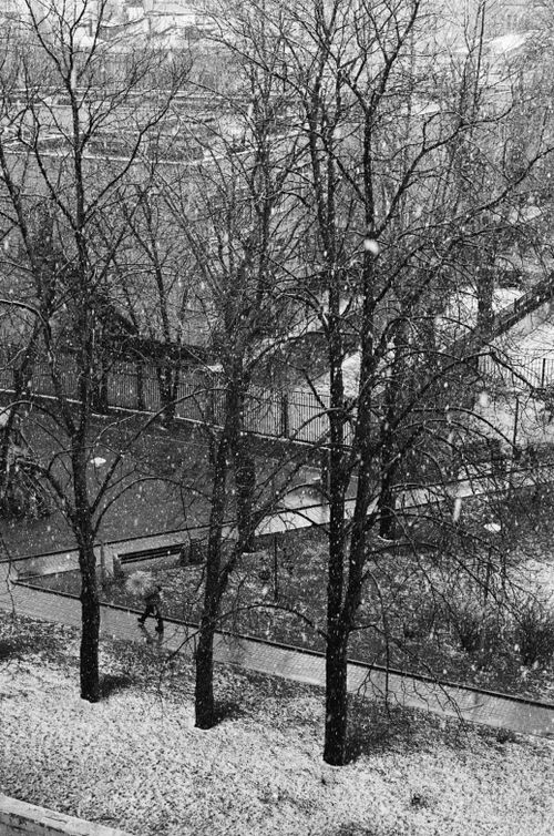 Free Snow falls over a quiet urban park in Moscow, creating a serene winter scene. Stock Photo