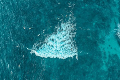 Fotos de stock gratuitas de agua Azul, dice adiós, disfrute