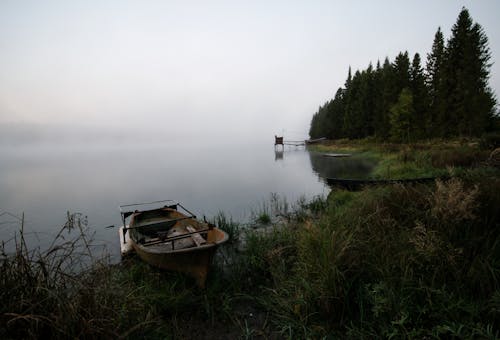 Gratis lagerfoto af båd, fredsommelig, natur