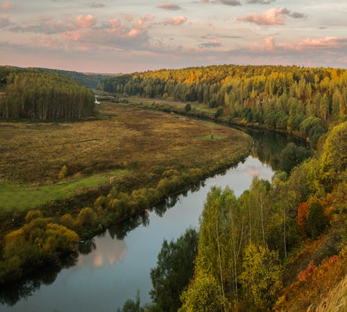 A River Between Green Trees