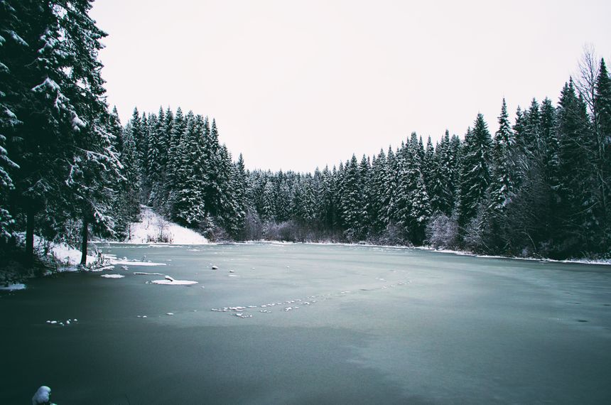 Frozen tarn ringed with snow-laden pines &mdash; photo by Evgeniy Karepanov on Pexels