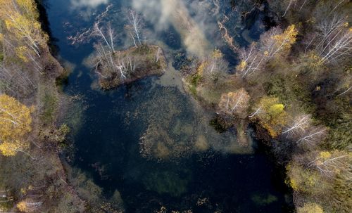 Free A captivating aerial shot of a serene autumn forest water landscape in Russia. Stock Photo