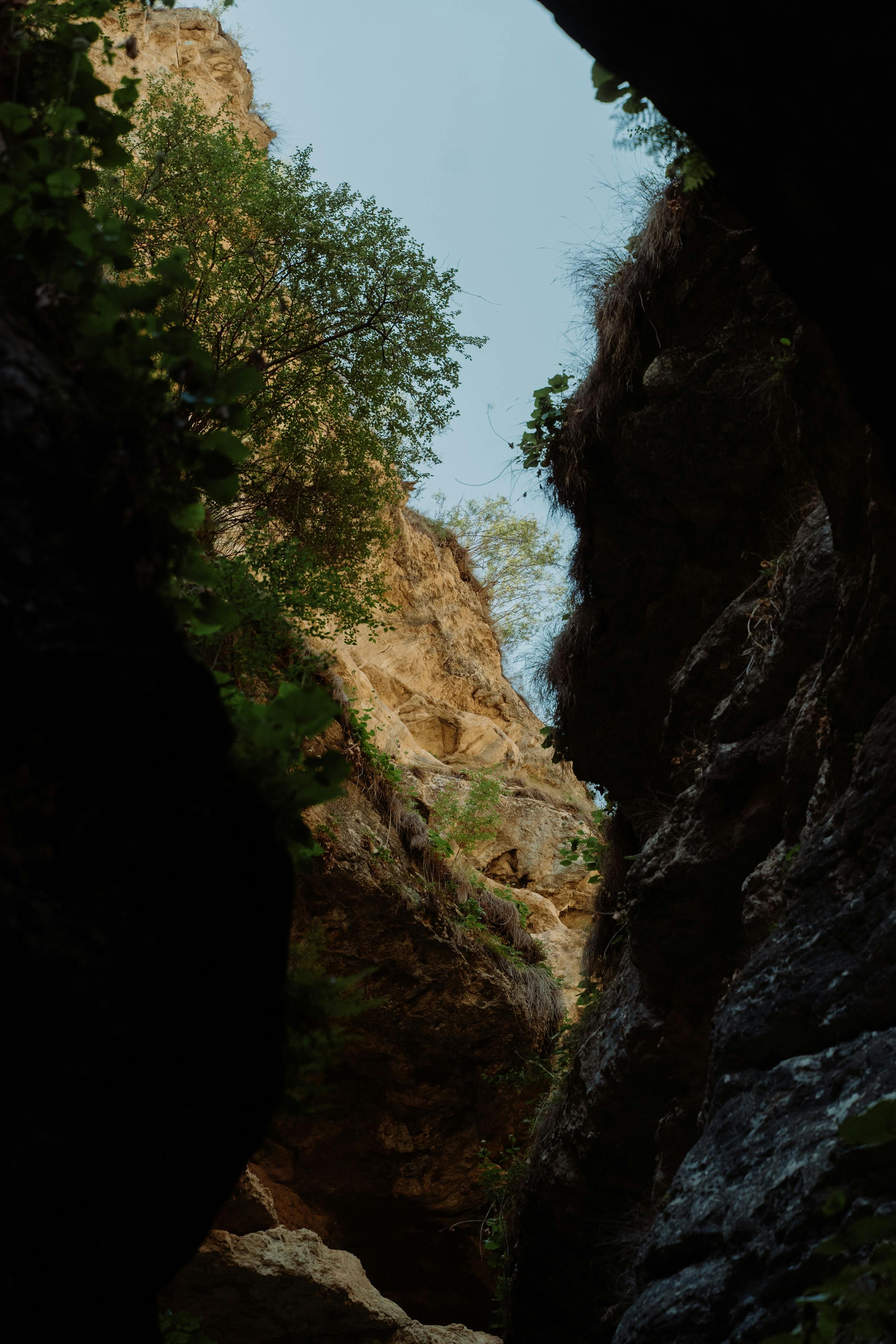 Narrow Canyon Photos Download The BEST Free Narrow Canyon Stock Photos Narrow Canyon Photos Download The BEST Free Narrow Canyon Stock Photos