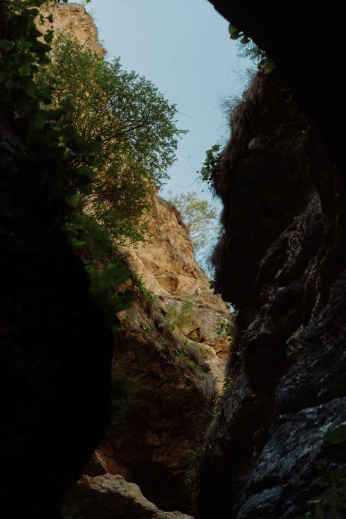 Free Low angle shot of a narrow canyon with rugged cliffs and foliage. Stock Photo