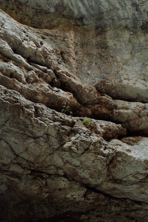 Fotos de stock gratuitas de acantilado, áspero, cueva