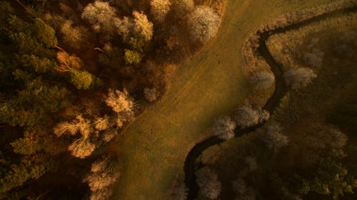 Top View Photography Of Grass Field And Trees