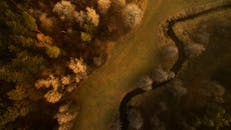 从空中俯瞰，蜿蜒的河流穿过波兰斯科卡秋天的树林