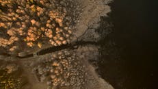 黎明时分，波兰斯科尔卡的森林和湖泊空中景观令人惊叹