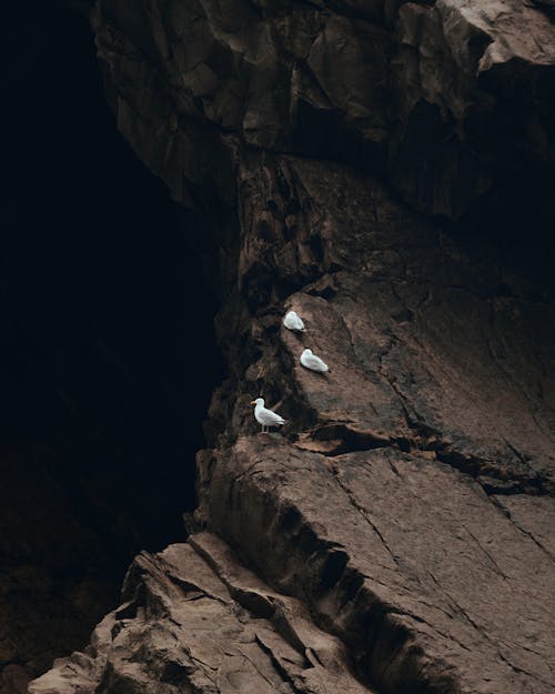 坐, 岩石, 懸崖 的 免费素材图片