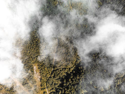 Darmowe zdjęcie z galerii z chmury, fotografia lotnicza, las