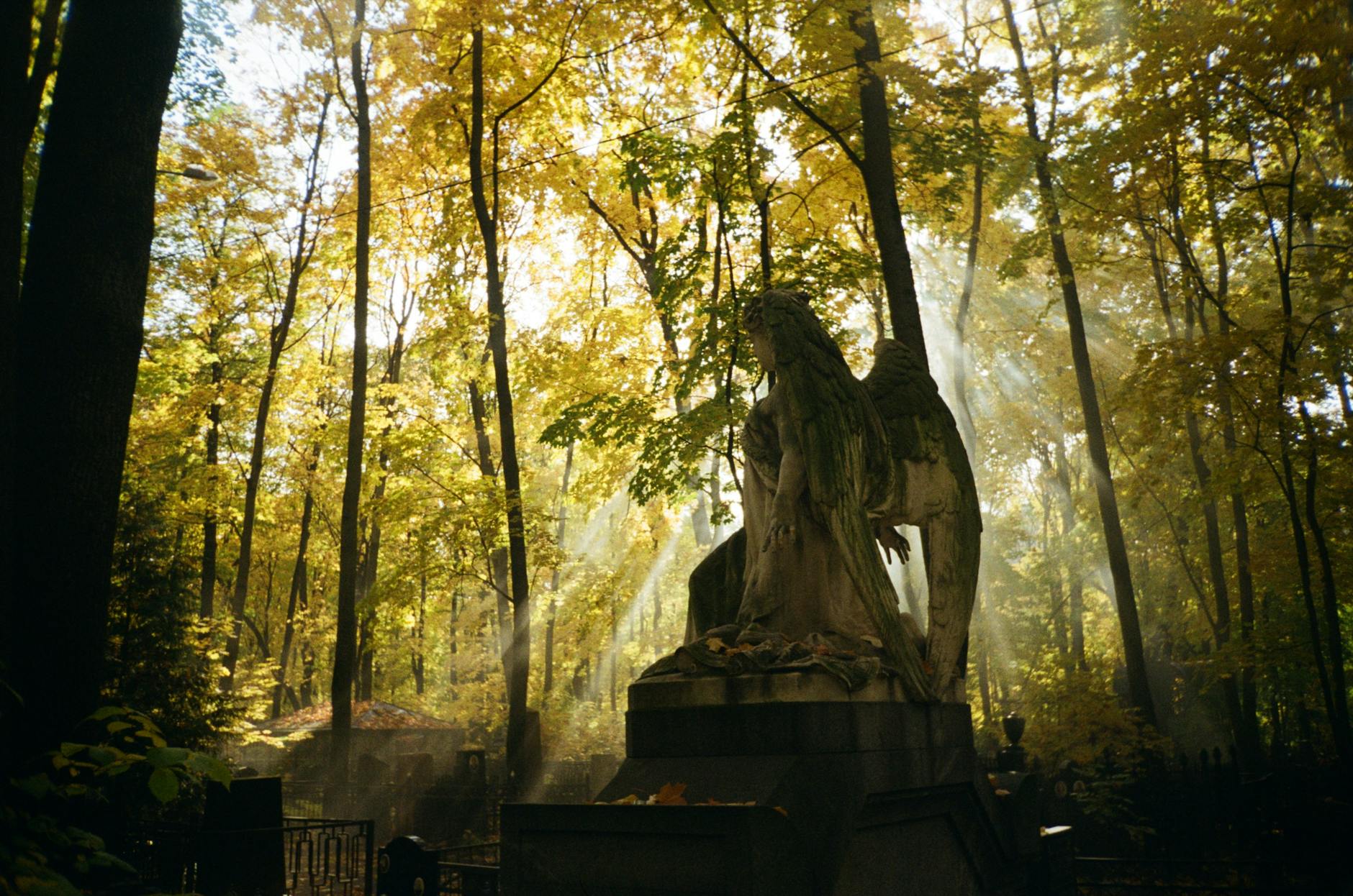 https://www.pexels.com/photo/angel-sculpture-on-cemetery-9942088/