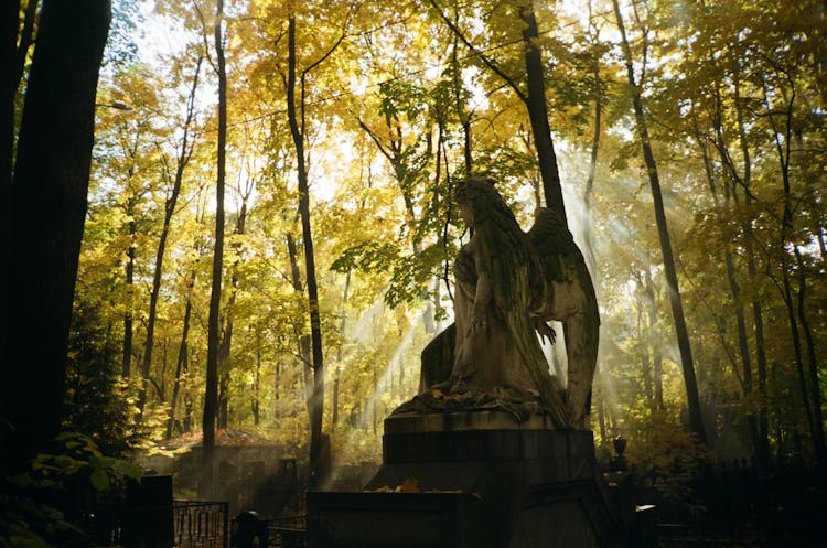 Angel Sculpture On Cemetery