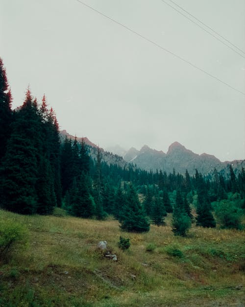 Бесплатное стоковое фото с 35 мм пленка, вертикальный выстрел, горы