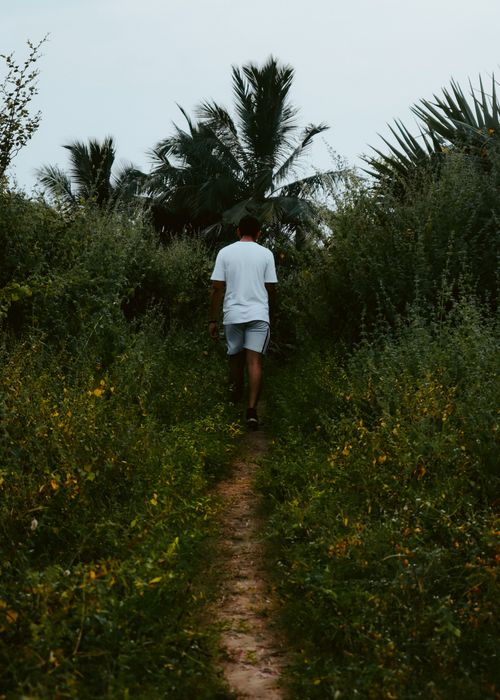 Free Back view of a man walking through a lush green path surrounded by wild plants and palm trees. Stock Photo