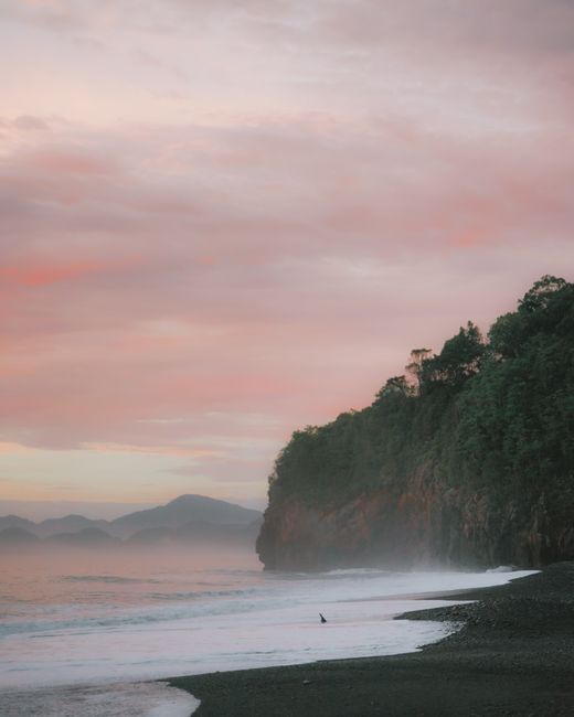 Tranquil beach scene at sunrise with misty waves and lush cliffs.