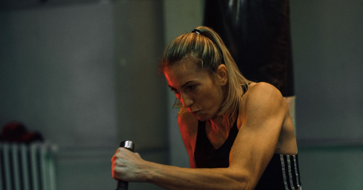 A Boxer Training Using Dumbbells · Free Stock Photo