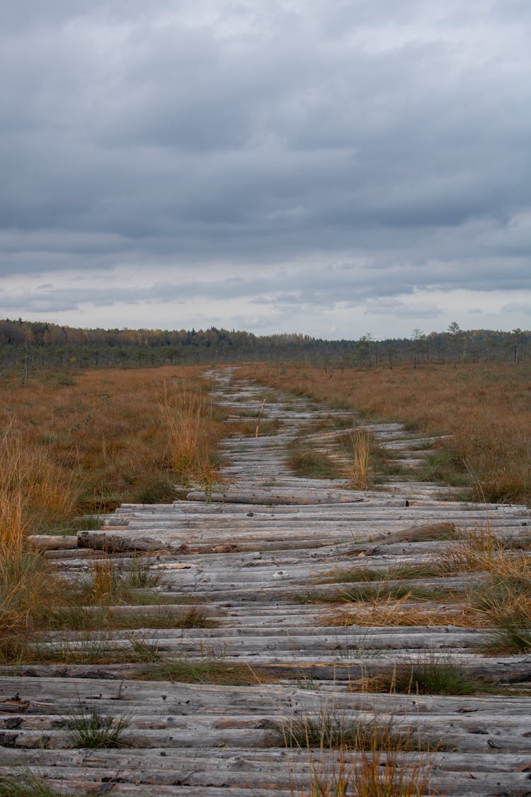 Wooden Footpath On Grassland