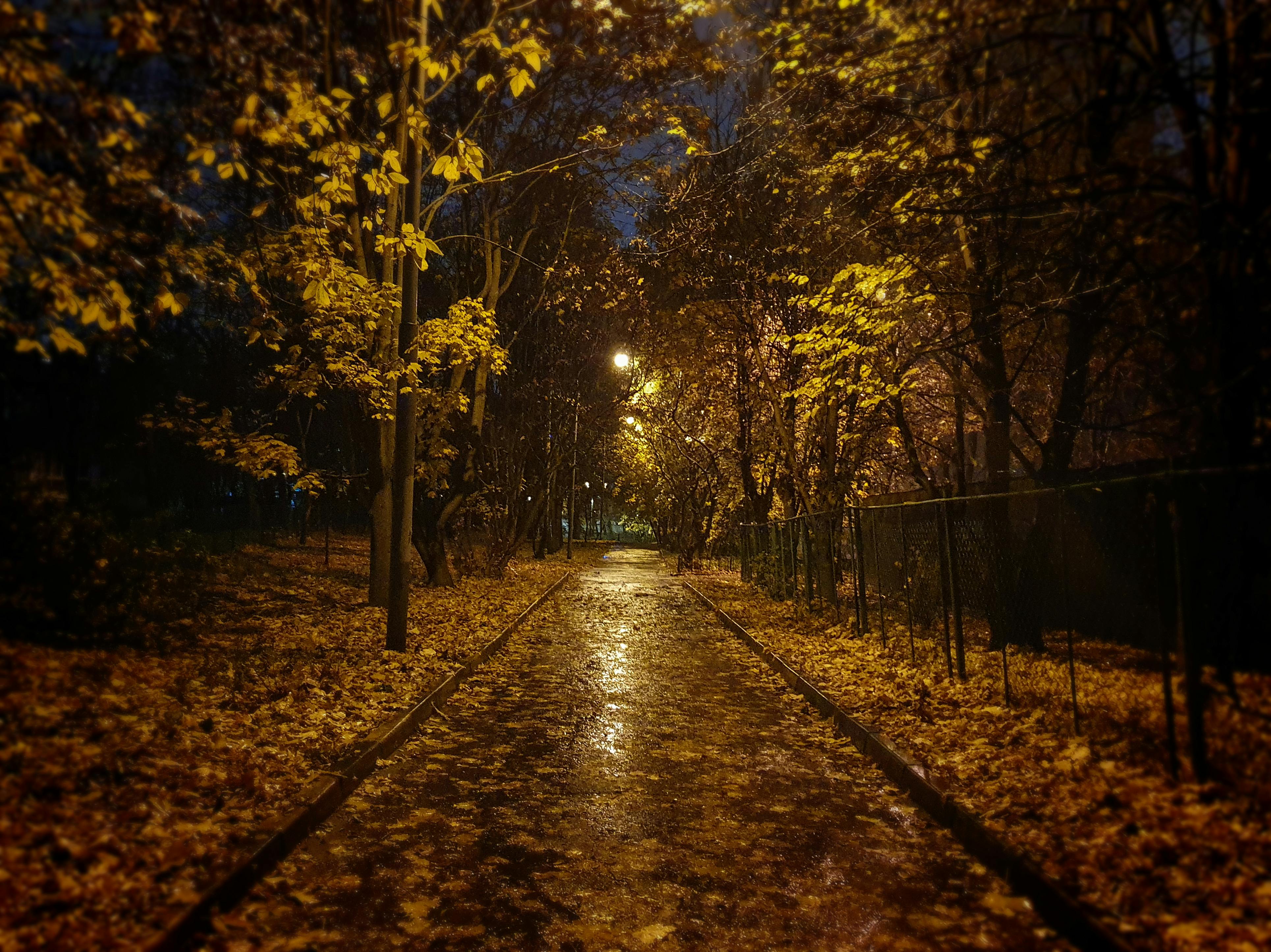 Городской и сельский пейзаж