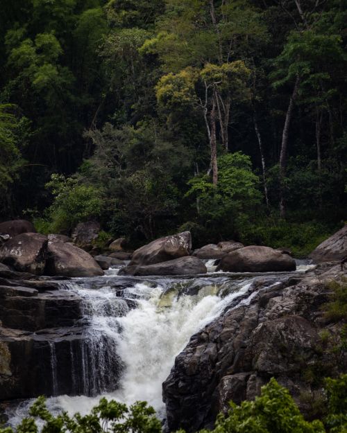 Free Captivating waterfall cascading through a lush, verdant forest in Brazil. Perfect for nature enthusiasts. Stock Photo