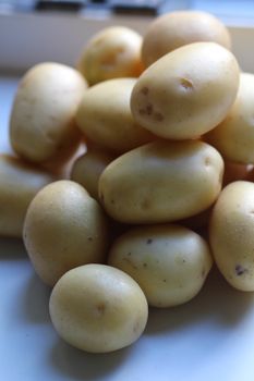 Petite Gold Potatoes