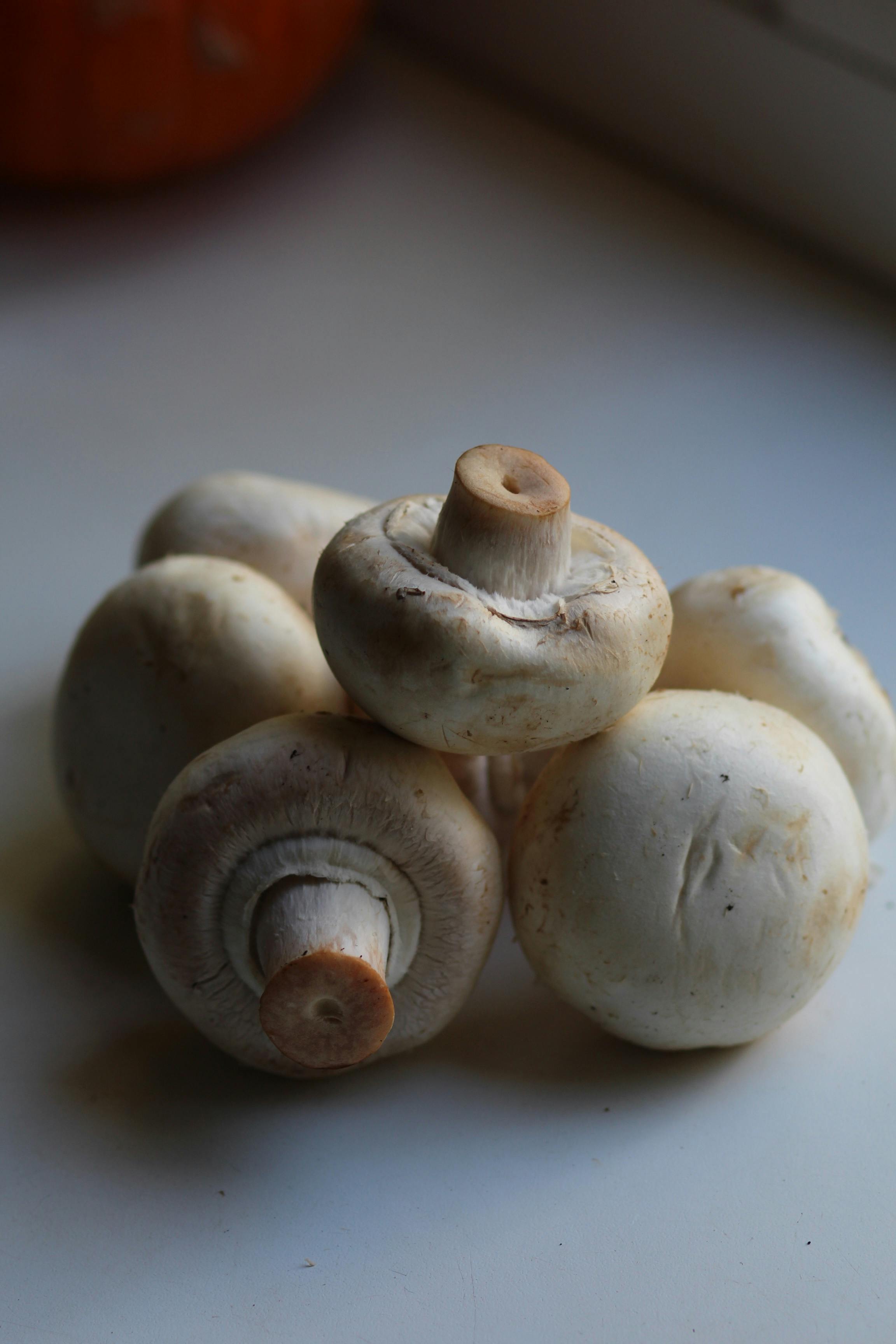 close up raw mushrooms