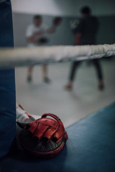 Red boxing gloves on a ring with blurred boxers sparring in the background, capturing the essence of the sport.