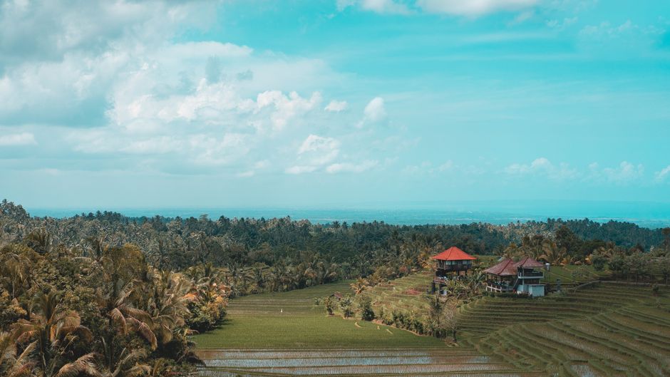 is bali a country?