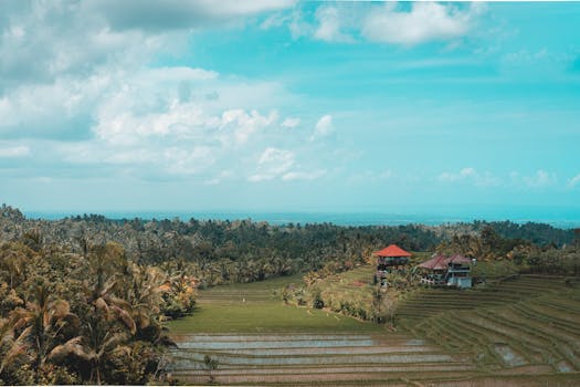 A stunning view of rice terraces and traditional houses in Marga, Bali.