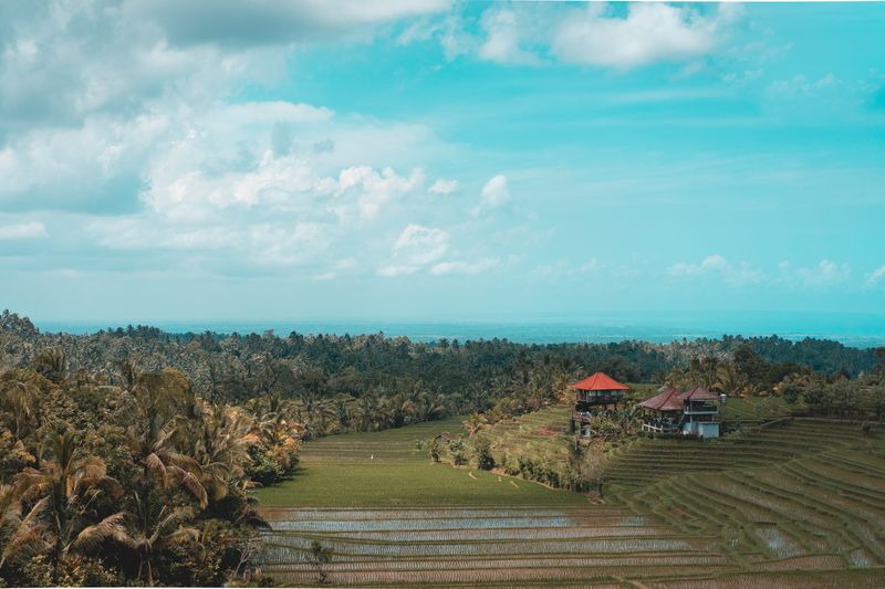 Tranquil Rice Terrace Villa in Ubud
