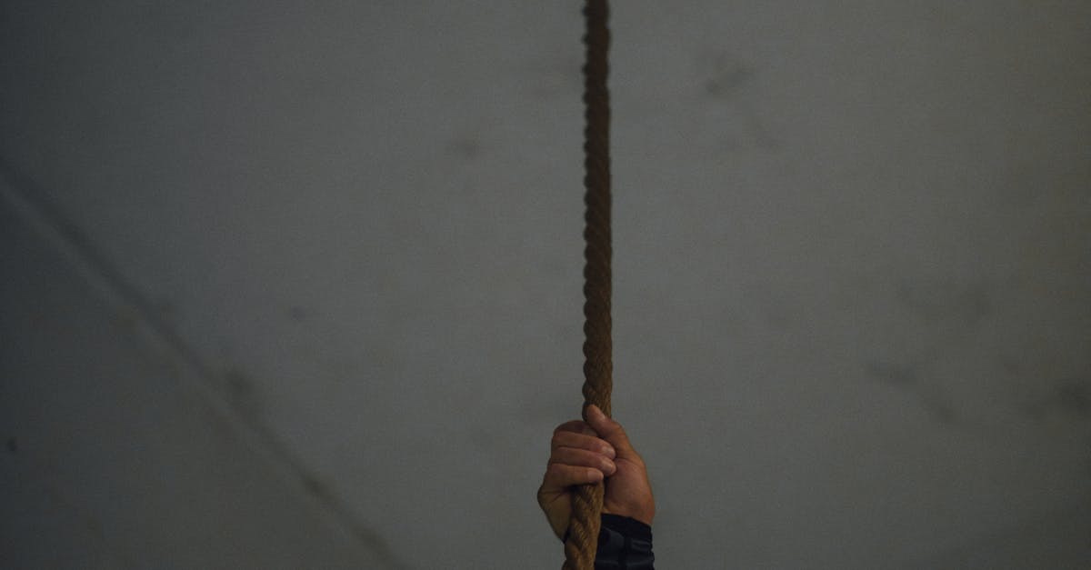 世壯運定向越野無交通管制 符合國際賽事規範 執委會籲切勿誤導視聽