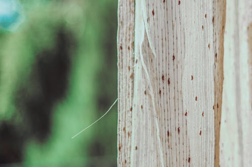 Free stock photo of curtain, curtain background, curtains