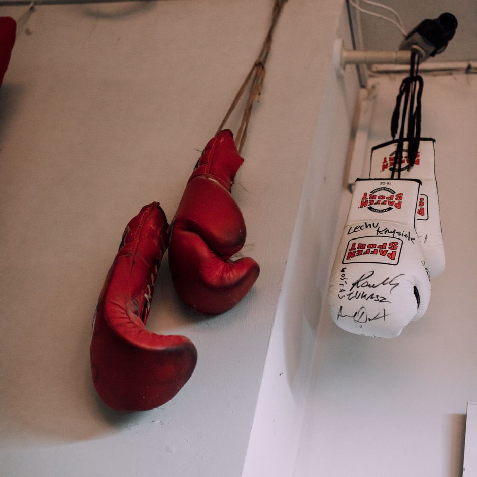 Contour Sparring Gloves 16 oz