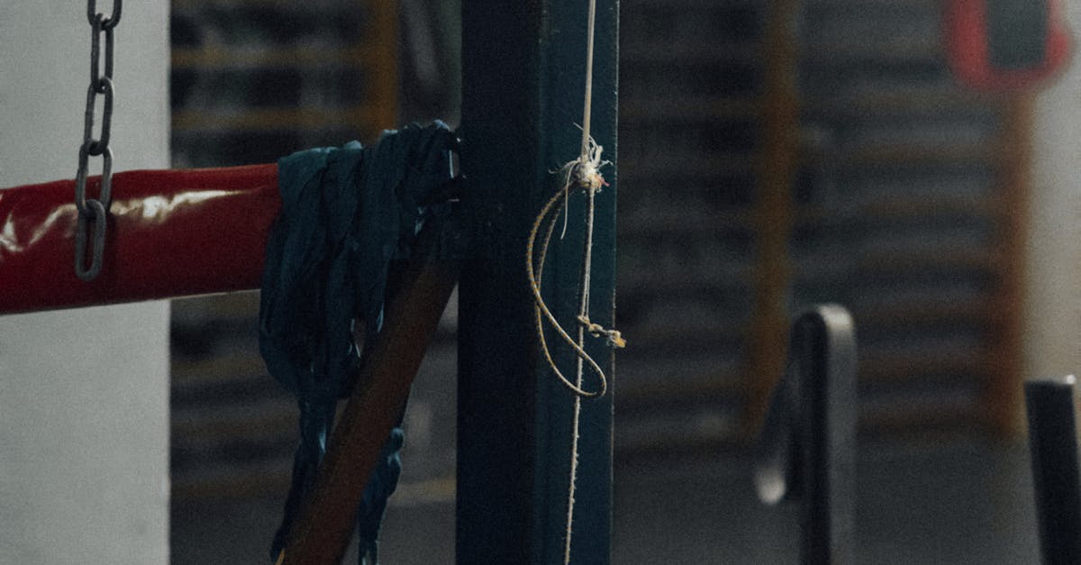 What does technical knockout mean in boxing