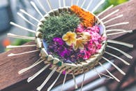 Shallow Focus Photography of Multicolored Floral Decor