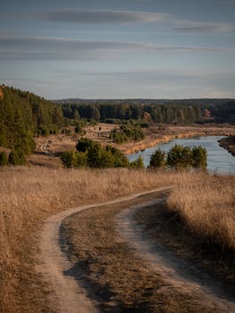 A tranquil autumn landscape featuring a winding dirt road beside a river, surrounded by forest and meadow.