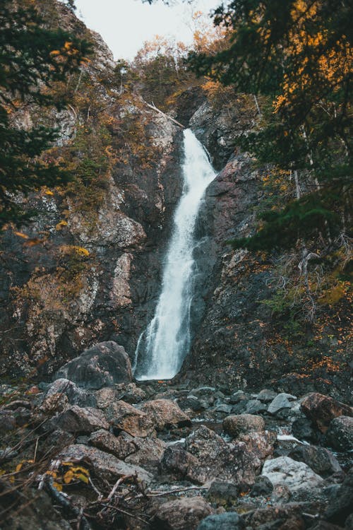 Waterfall in Forest