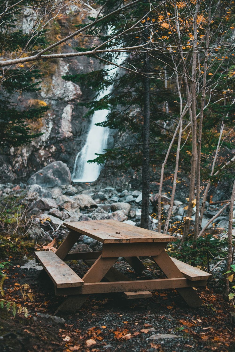 Table In Forest Bench and Table in Forest · Free Stock Photo