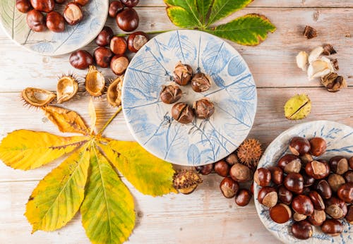 Chestnuts on a Plate