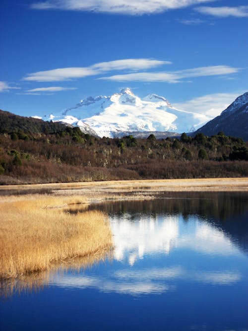 Beautiful Landscape of a Snowcapped Mountain, Lake and Forest 