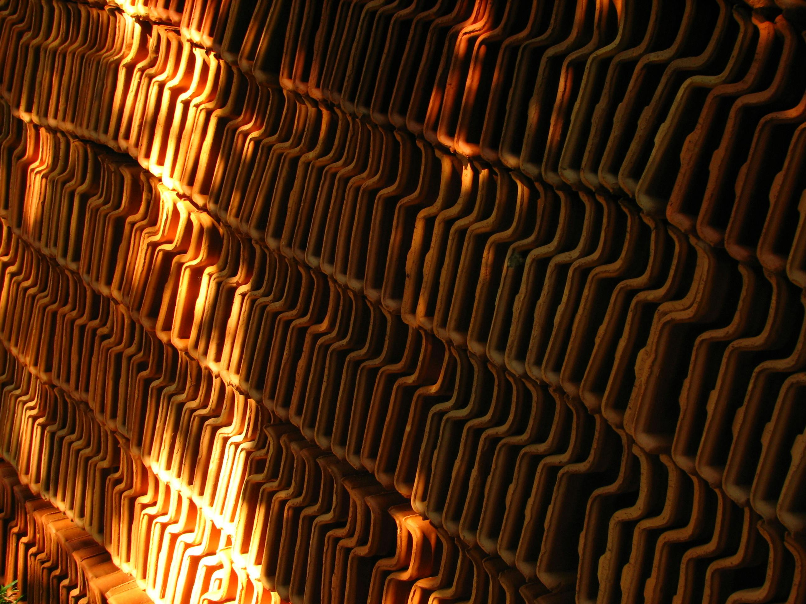 Sesame Seeds from KGR Agro Farms 