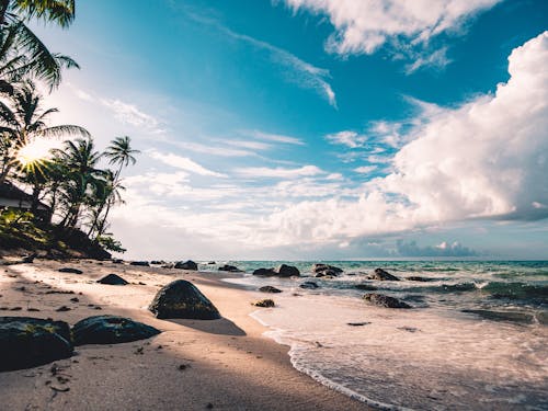 Tropical paradise beach