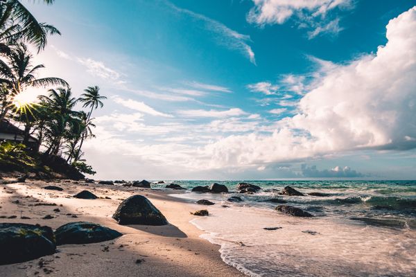 Bali Tropical Escape