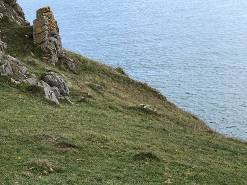 Free Tranquil grassy cliffs overlooking the calm sea under a clear sky. Perfect nature scenery. Stock Photo