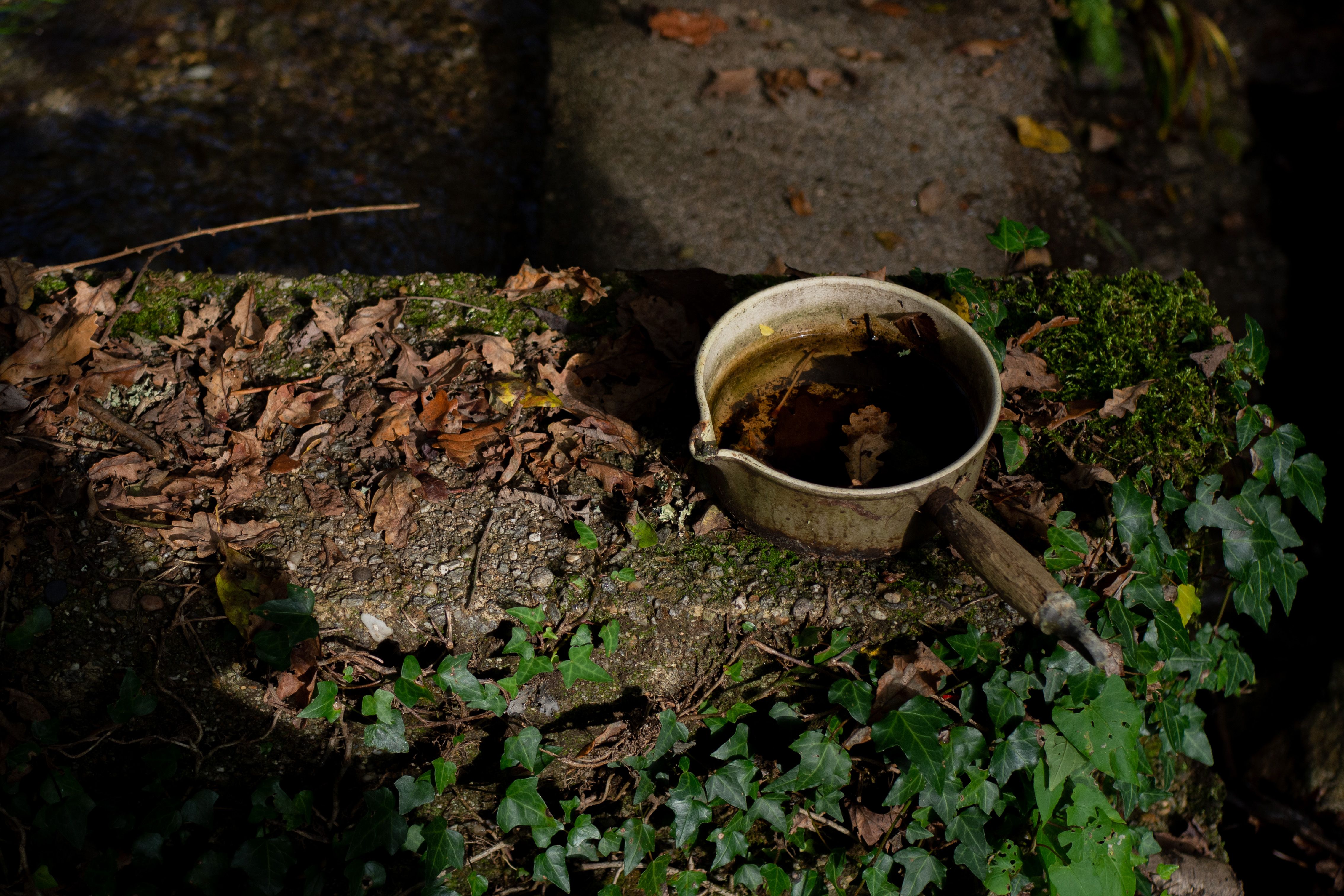 An old cooking pot surrounded by leaves and moss on a stone surface in a forest.