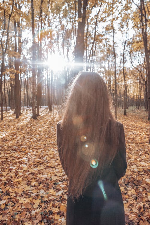 Základová fotografie zdarma na téma holka, městský park, podzim