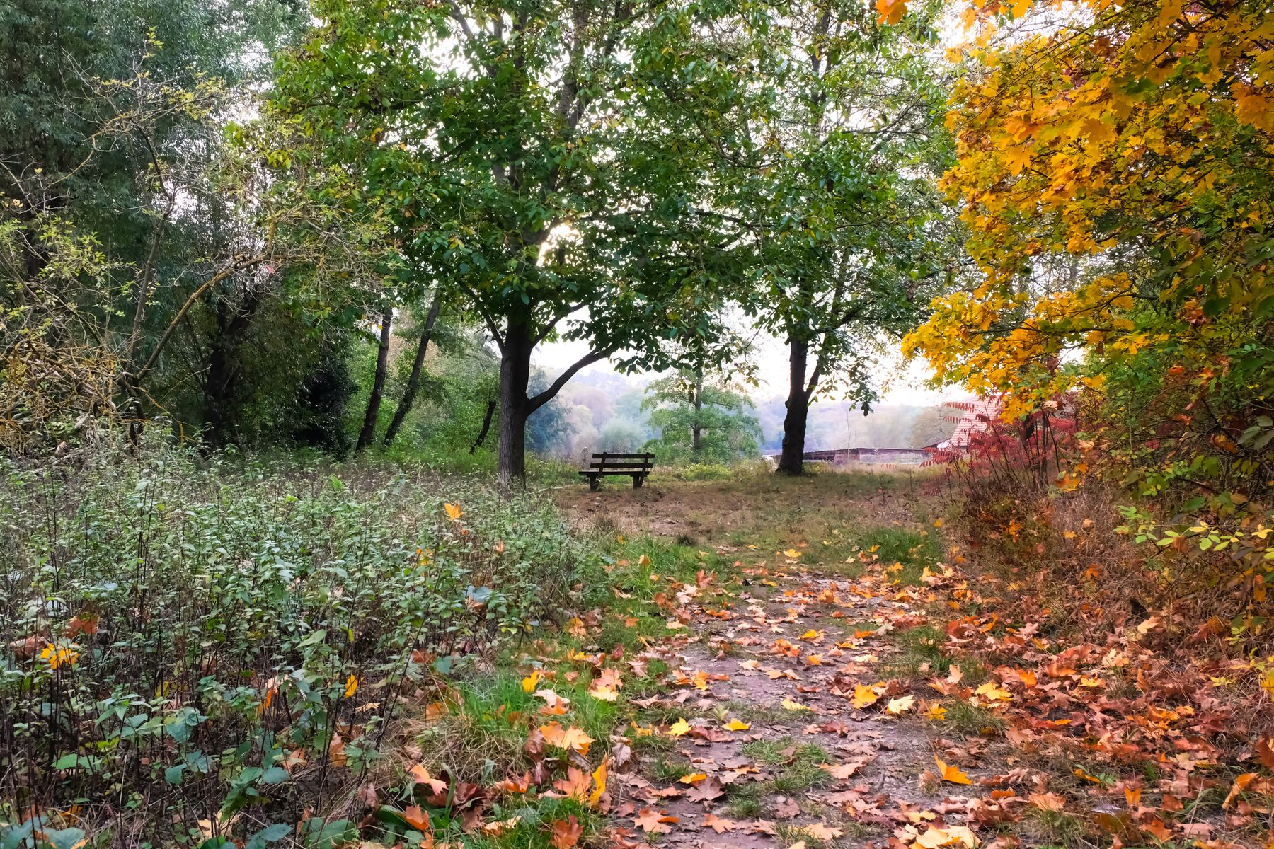 Autumn Views from Reading's Hills: A Walking and Rail Guide