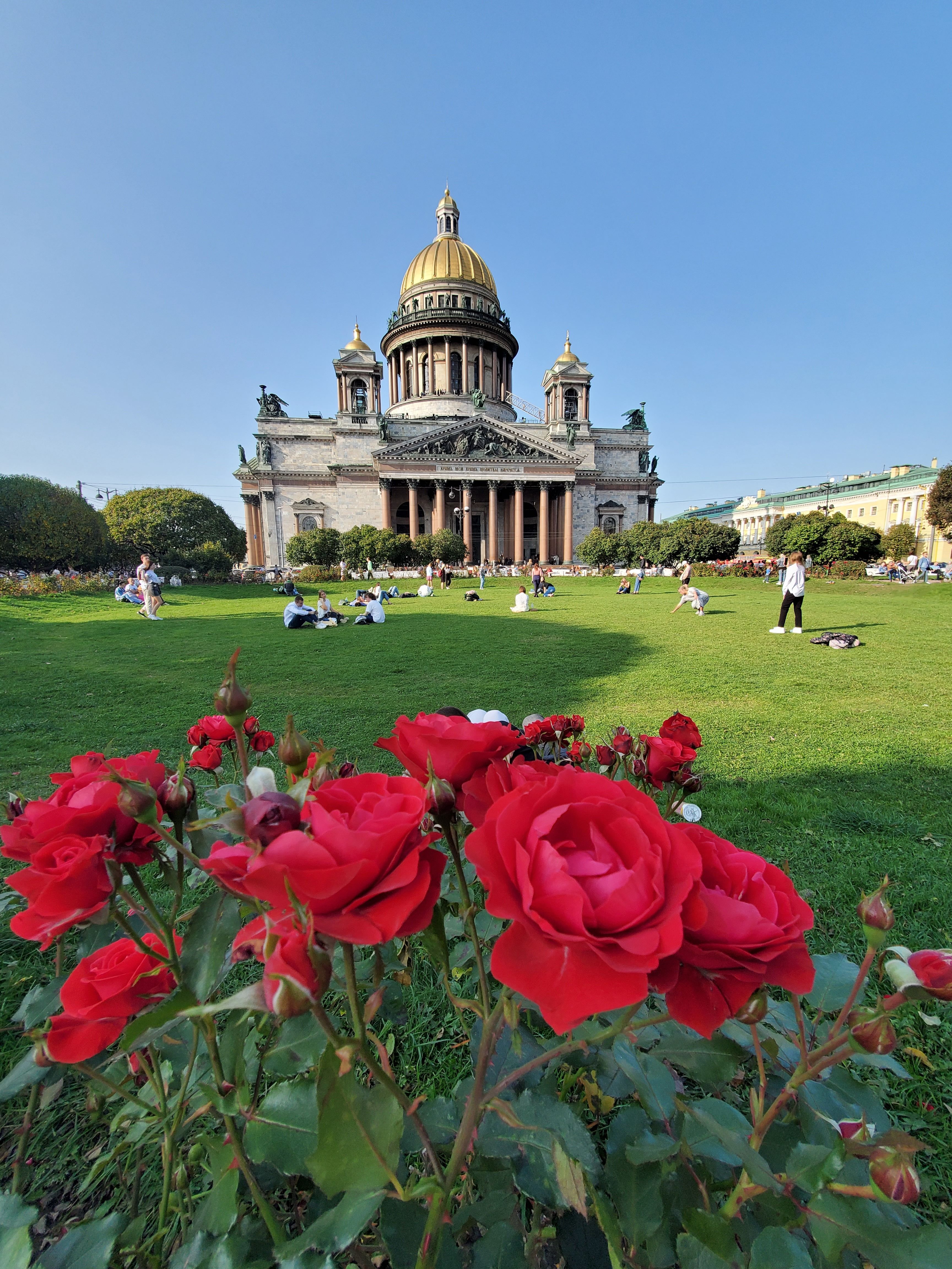St. Isaac's Cathedral, St. Petersburg with vibrant red roses in the foreground, under a clear blue sky.